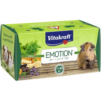 Krabica VITAKRAFT na prenos morčiat