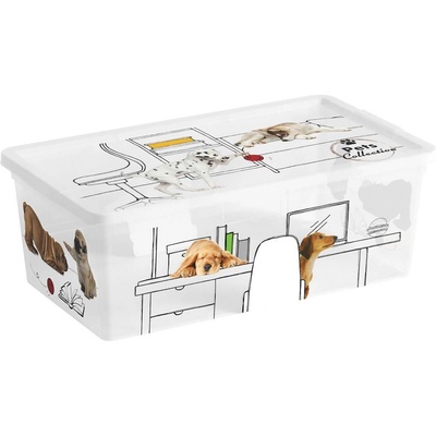 Kis C Box Style Pets Collection XS 6l