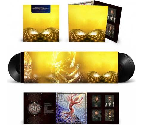 Tool: Fear Inoculum LP