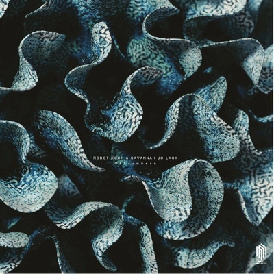 Robot Koch - Otherwhere LP