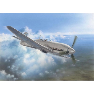Special Hobby Heinkel He 100D Soviet and Japanese Test Plane 1:32