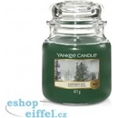 Yankee Candle Evergreen Mist 411 g