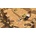 Titan Quest Bundle