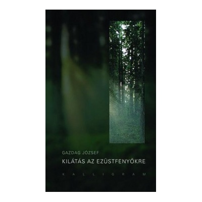 Kilátás az ezüstfenyőkre 2. kiadás