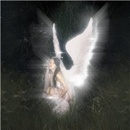 BARRETT, NESSA - YOUNG FOREVER LP