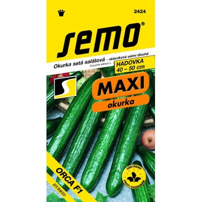 Semo Okurka salátová do skleníku - Orca F1 velmi dl 10s - série Maxi
