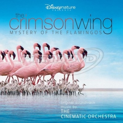 CINEMATIC ORCHESTRA: CRIMSON WINGMASTE CD