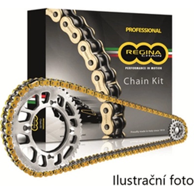 Regina Řetězová sada Aprilia 550 SXV 06-12 | Zboží Auto