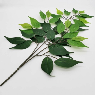 Umělá větvička ficus benjamina – 60 × 35 cm (výhodné balení 12 ks)