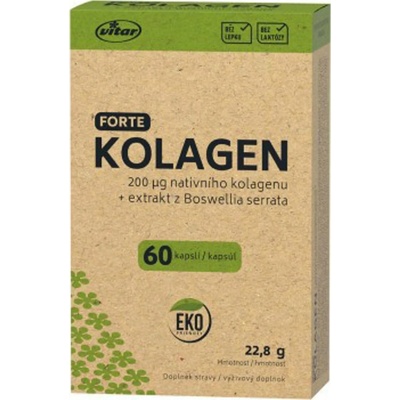 Vitar Kolagén forte + extrakt z Boswellia serrata EKO 60 kapsúl