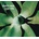 DEPECHE MODE - EXCITER -REISSUE- LP