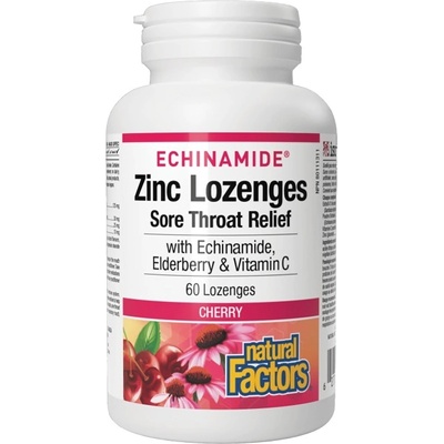 Natural Factors Echinamide® Zinc Lozenges | Sore Throat Relief [60 дъвчащи дражета] Цветен мед