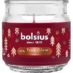 Bolsius Ароматна свещ Bolsius True Glow - Winter Spices, 57 h (8717847190505)