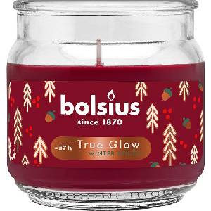 Bolsius Ароматна свещ Bolsius True Glow - Winter Spices, 57 h (8717847190505)