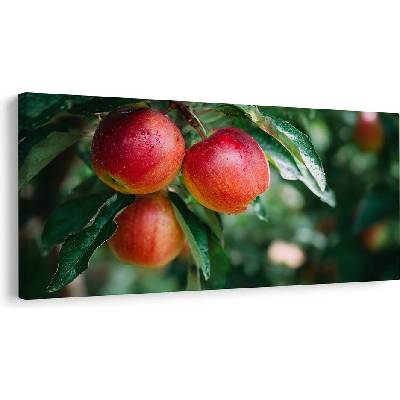 Obraz kapky rosy na jablkách - 120x60