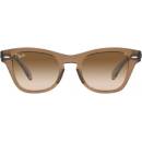 Image 1 of Ray-Ban RB0707S 664051