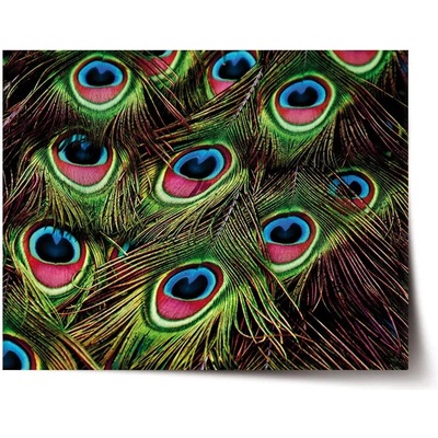 Sablio Plagát Pávie perie - 90x60 cm