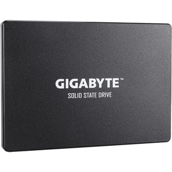 Gigabyte 256GB, SSD, GP-GSTFS31256GTND