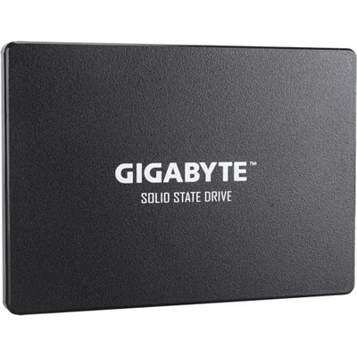 Gigabyte 256GB, SSD, GP-GSTFS31256GTND