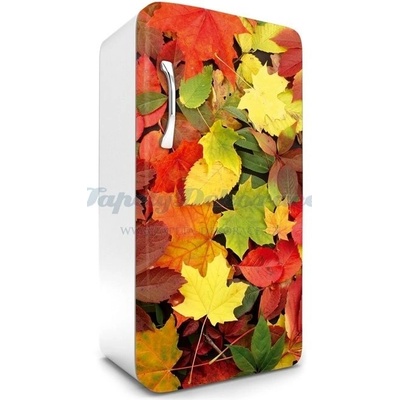 Dimex FR120-025 Samolepící fototapeta na lednice Colourful Leaves rozměry 65 x 120 cm