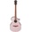 Ibanez AEWC12-RGF