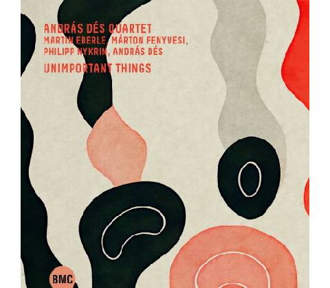 ANDRAS DES QUARTET - UNIMPORTANT THINGS CD