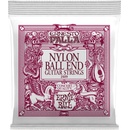 Ernie Ball 2409
