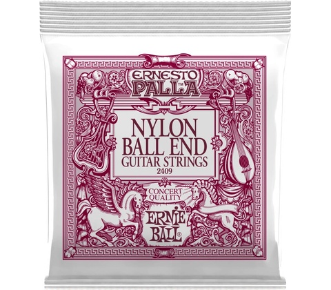 Ernie Ball 2409