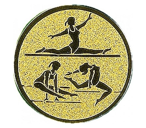 Emblém E151 Gymnastika