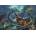 Clementoni - Puzzle Underwater Battle - 3 000 piese