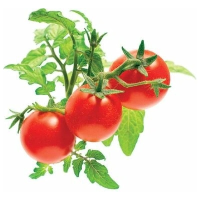 Click and Grow mini paradajky kapsule so semienkami a substrátom 3 ks