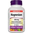 Webber Naturals Horčík magnézium 500 mg 60 tabliet