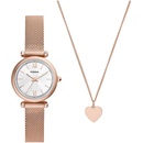Fossil ES5314SET