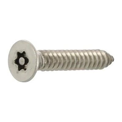 Pojistný vrut zápustná hlava 4.8x38 TX25 PIN, nerez A2 (500 ks)