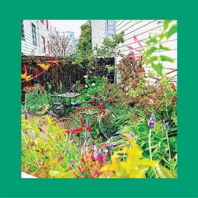 The Reds, Pinks And Purples - Unwishing Well (Limited Edition) (White Coloured) (LP) (5055869550574)