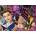 Ravensburger - Puzzle Disney Princess Beauty and the Beats - 1 000 piese