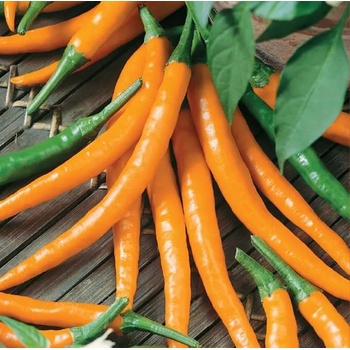 Image 1 of Seklos Лют пипер Килиан Kilian