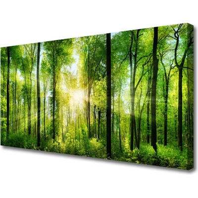 Obraz na plátně Les Příroda 100x50 cm