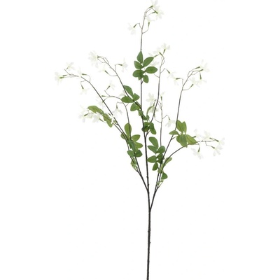 Lobelka (Lobelia) krémová V138 cm