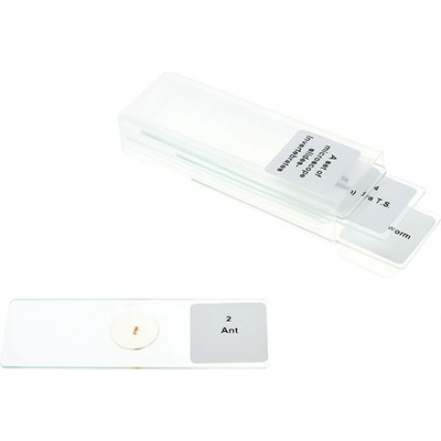 Комплект микроскопски препарати - безгръбначни