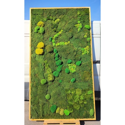 Machový obraz- plochý mach+ kopčekový 270cm x 150cm