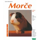 Morče - Jak na to