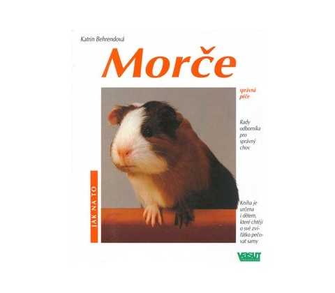 Morče - Jak na to