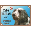 Dafiko Tabulka bearded kolie