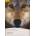 Level 2: White Fang Book and MP3 Pack