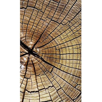 Dimex MS-2-0162 vliesová fototapeta rozměry 150 x 250 cm