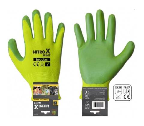 Bradas Nitrox Mint