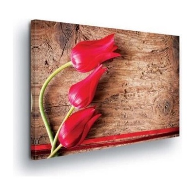 Obraz na plátně tulipány na dřevě 163O1, 100 x 75 cm, IMPOL TRADE
