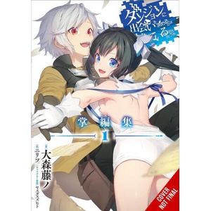 IS IT WRONG TO TRY TO PICK UP GIRLS V01 | V01 (ISBN: 9798855410983)