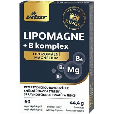 Vitar KINGS LIPOMAGNE + B komplex 60 kapsúl